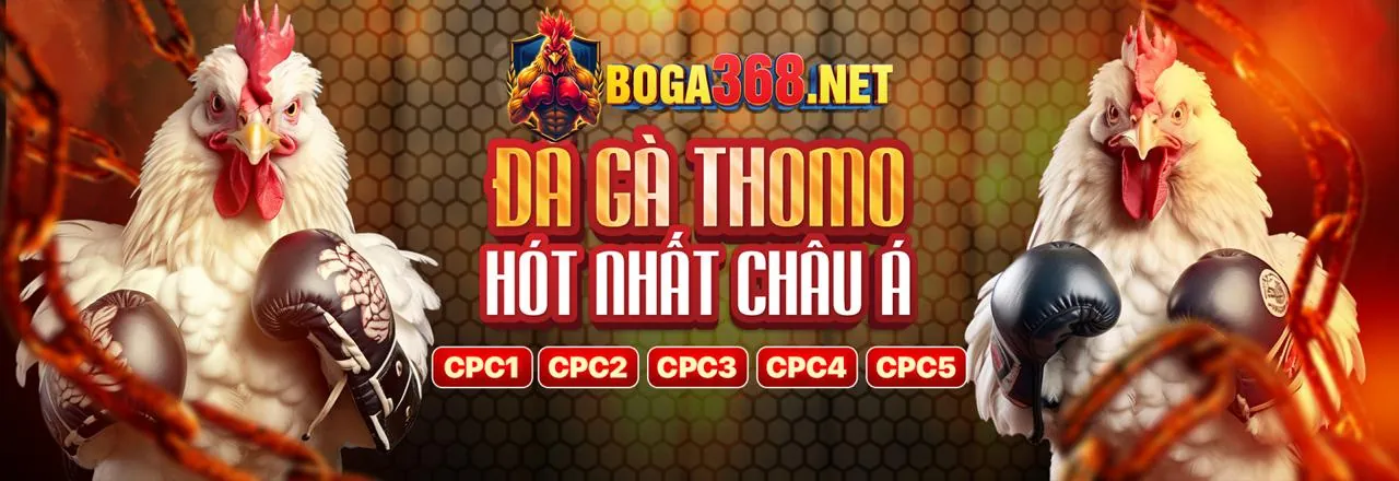 Đá gà trực tiếp tại alo789longan